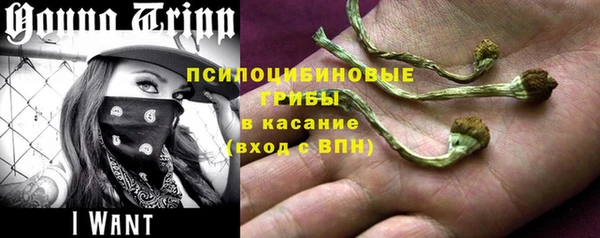 амфетамин Алексеевка