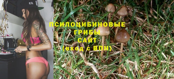 амфетамин Алексеевка