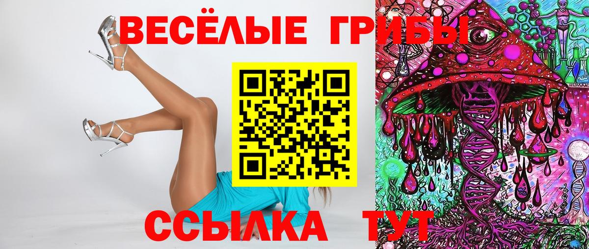 Тулун  Псилоцибиновые грибы прущие грибы  Вход с VPN 