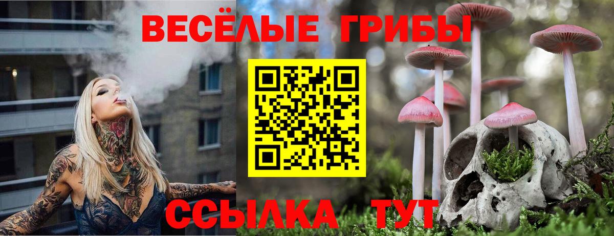 Псилоцибиновые грибы Psilocybe Тулун